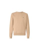 sudadera lacoste sweatshirt hombre beige