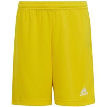 adidas Short niña Entrada 22 para niña