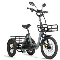 triciclo electrico cysum ag1 pro 48 v 20 ah largo alcance marcha atras asistida cestas de carga gris