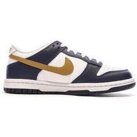 nike zapatillas dunk low para nino