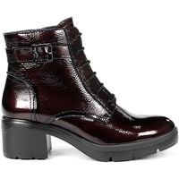 fluchos botines f2107 burdeos para mujer