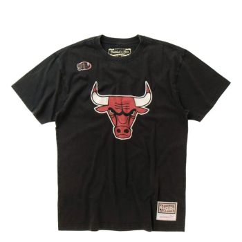 Camiseta Chicago Bulls 