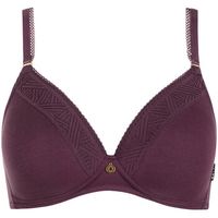 lisca triangulosin aros sujetador push-up con aros ria para mujer