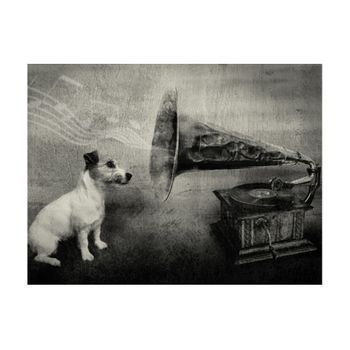 Papel Pintado 3d - Dog's Melodies (200x154 Cm)