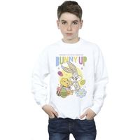 dessins animes jersey bunny up para nino