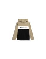 sudadera 4f jblm003 nino marron