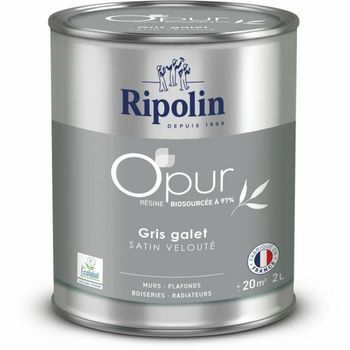 Pintura Primer Ripolin Gris Satinado 2l