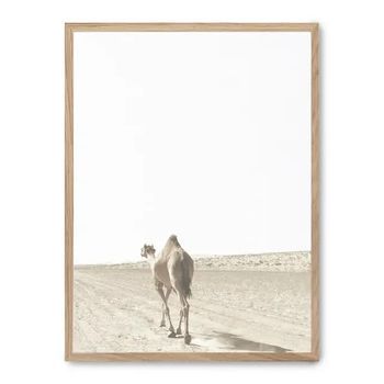 Cuadro Camel I
