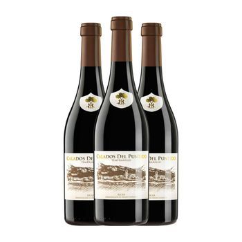 Páganos Vino Tinto Calados Del Puntido Rioja 75 Cl 14% Vol. (pack De 3 Unidades)