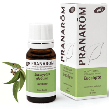 Pranarom Aceite Esencial Eucalipto BIO 10 ml