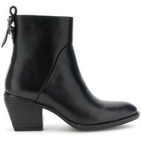 cafe noir botines c1ma1709 para mujer