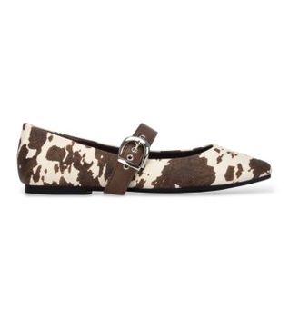 Xti para mujer. 14648504-COW Bailarinas 146485 marrón (40), Plano, Hebilla, Casual, Animal print