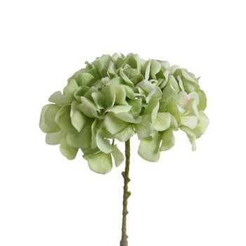 Tallo de hortensia artificial verde h63