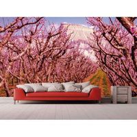 fotomural vinilo camino entre almendros 600 x 300 cm