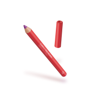 club k by kiko milano pigment pop lip pencil 19