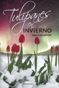 ibd tulipanes en invierno