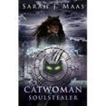 Catwoman: Soulstealer (dc Icons Series)