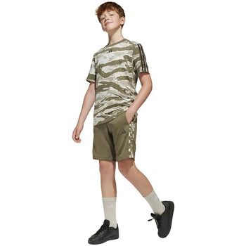 adidas Short Shorts Seasonal Essentials Camo en molleton para hombre