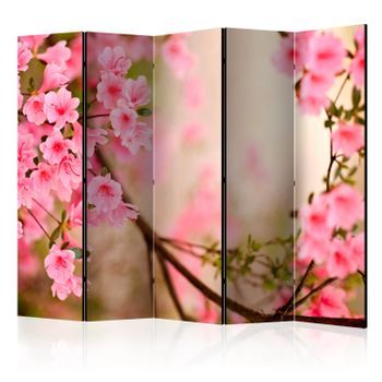 Biombo - Pink Azalea Ii [room Dividers]