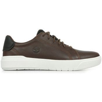 Timberland Deportivas Moda Seneca Bay Low Lace Sneaker para hombre