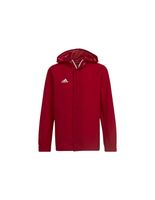 chaqueta de futbol adidas entrada 22 kids red