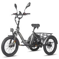eu direct fafrees f20 mate triciclo electrico con certificacion eu l2e-p bateria de 48v 21ah motor de 500w velocidad m