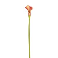 tallo de arum kelly artificial naranja h52