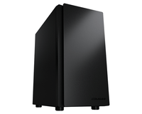 cougar purity negro