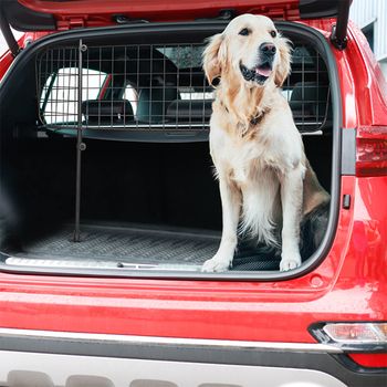 Universal Dog Guards (Mesh Grille)