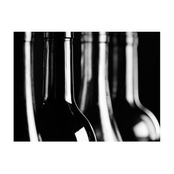 Papel Pintado 3d - Botellas De Vino (300x231 Cm)