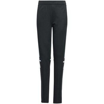 adidas Pantalones Sq25 Tr Pnt Y para niña