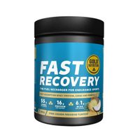 recuperador goldnutrition fast recovery pina colada 600g