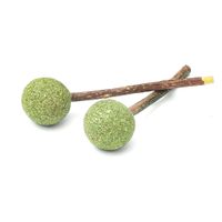 aumuller silver vine dental lollipop cat treat - 1 set 2 pieces