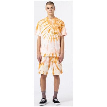 Dickies Short Seatac short para hombre