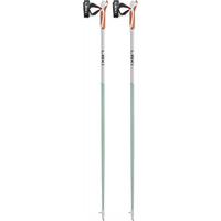 leki poles marcha nordica pasion verde 105