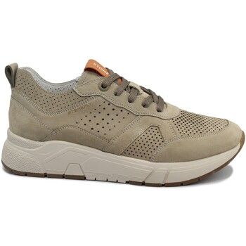 Stonefly Zapatos Hombre STO-E25-220937-TB para hombre