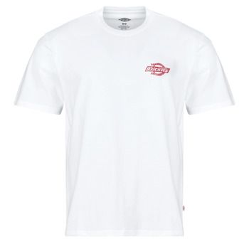 Dickies Camiseta CHINLE SS TEE para hombre