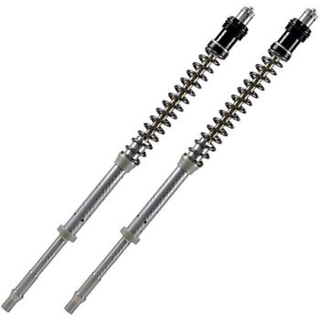Cartucho de horquilla Ducati Hypermotard 821 ABS Matris F20K kit
