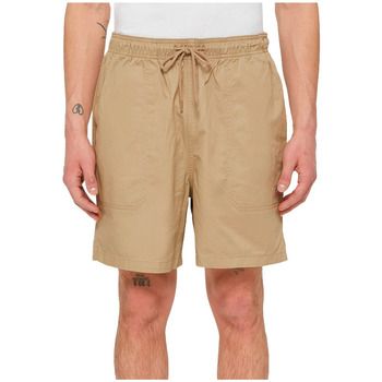 Dickies Short PELICAN RAPIDS DESERT SAND para hombre
