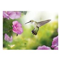 papel pintado 3d - colibri 300x210 cm