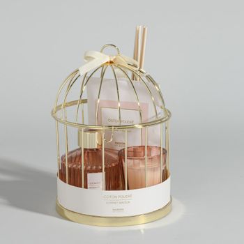 Difusor de vidrio (50 ml), bolsita y vela perfumada de algodón en polvo, y soporte de jaula de acero tono dorado.