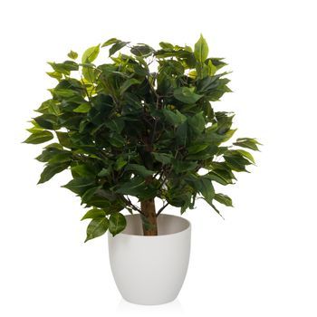 Planta Artificial / Árbol Artificial Ficus Ii 65 Cm Verde Hjh Office