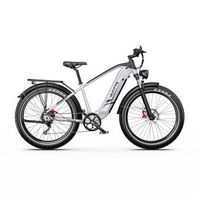 bicicleta electrica duotts f26lite 26 neumaticos anchos 48 rrv 18 ah color plata