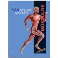 musculos (maxi atlas 3)