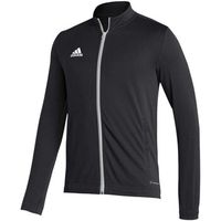 adidas chaqueta deporte entrada 22 para hombre