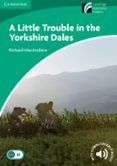 little trouble in the yorkshire dales level 3 lower-intermediate