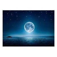 papel pintado 3d - noche de luna 400x280 cm