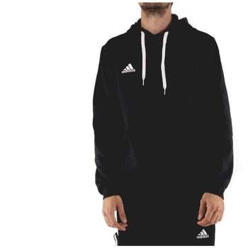 adidas Jersey ENT22 HOODY H57512 para hombre