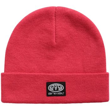Animal Gorro S-M MW4553 para niña