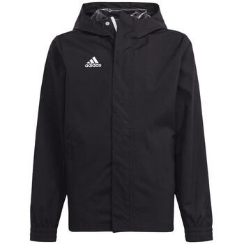adidas Cazadora Entrada 22 para hombre